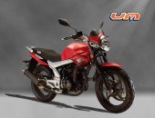 2010 UM Xtreet 125 photo